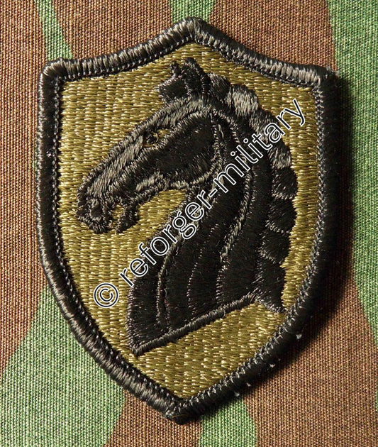 107th ACR (Armored Cavalry Regiment) BDU Patch