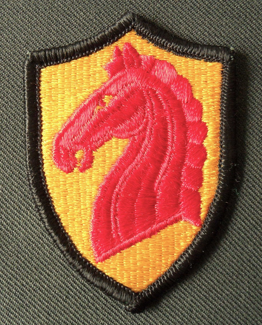 107th ACR (Armored Cavalry Regiment) BDU Patch