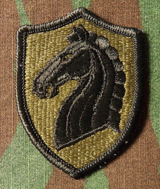 107th ACR (Armored Cavalry Regiment) BDU Patch