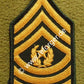 Enlisted Rank Insignia, Command Sergeant Major, E9