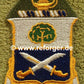 Finden Sie bei und die besten Angebote für 29th Infantry Regiment Armabzeichen - exklusiv bei reforger military