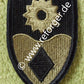 49th Military Police Abzeichen Patch