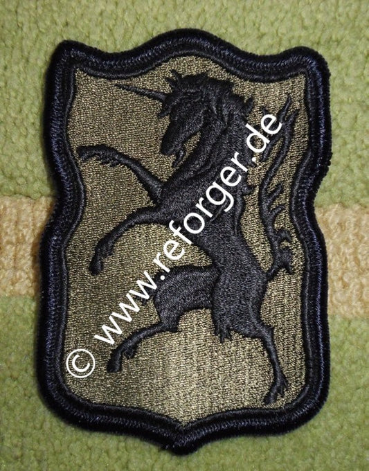 US Army 6th ACR (Armored Cavalry Regiment) Patch