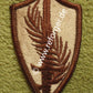 CENTCOM (US Central Command) Patch