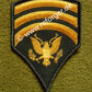 US Army Specialist Spec 7 E-7 Rank