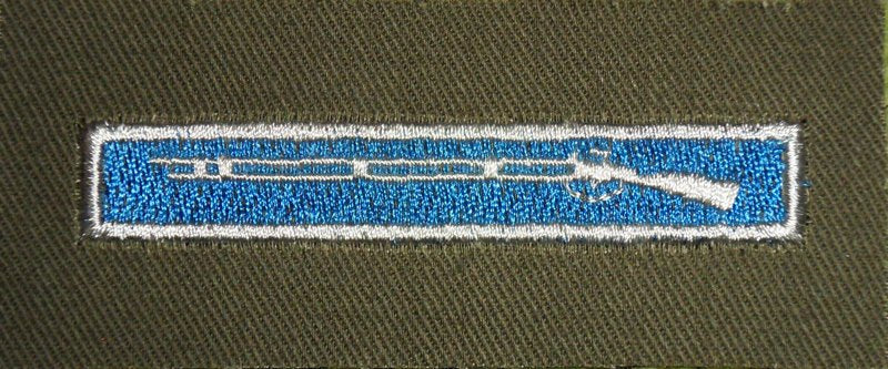 EIB - Expert Infantryman Badge