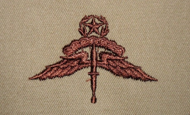 HALO Free Fall US Army Parachutist Badge